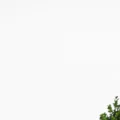 Smart Connectivity Simplified with TP-Link Products